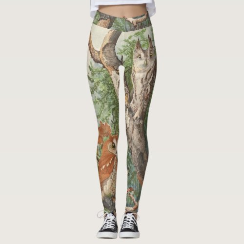 2 angry vintage owls in a tree leggings