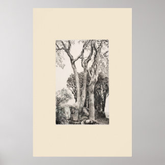 2 Ash Trees Cornwall Eleanor Hughes Restrike Poster