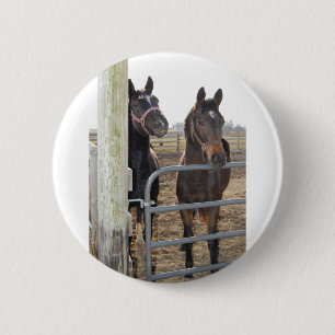 2 Barn Horses Button