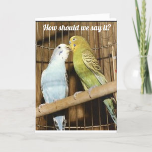 2 BIRDS OF A FEATHER SAY "HAPPY BIRTHDAY" CARD