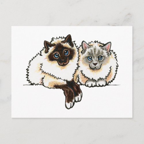 2 Birman Postcard