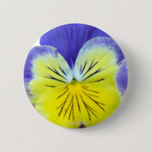 2 Blue Yellow Pansies Button