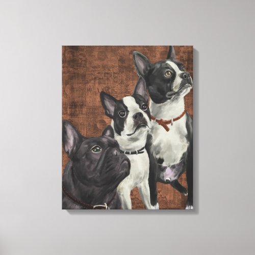 2 Boston Terriers and French Bulldog Canvas Print