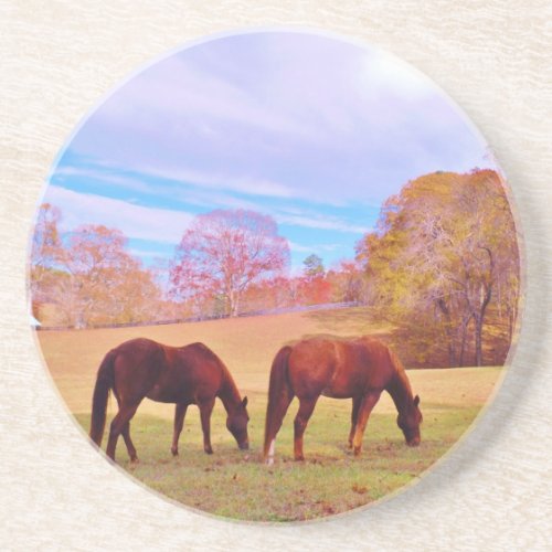 2 Brown horses in a colored field Coaster