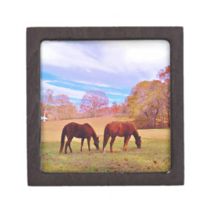 2 Brown horses in a colored field Gift Box
