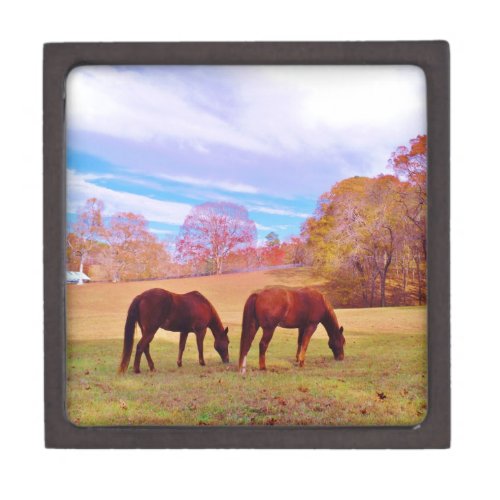 2 Brown horses in a colored field Keepsake Box