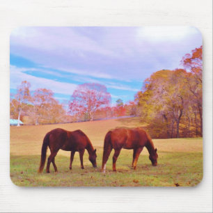 2 Brown horses in a colored field Mouse Pad