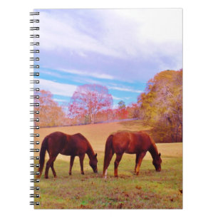 2 Brown horses in a colored field Notebook