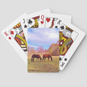 2 Brown horses in a colored field Poker Cards