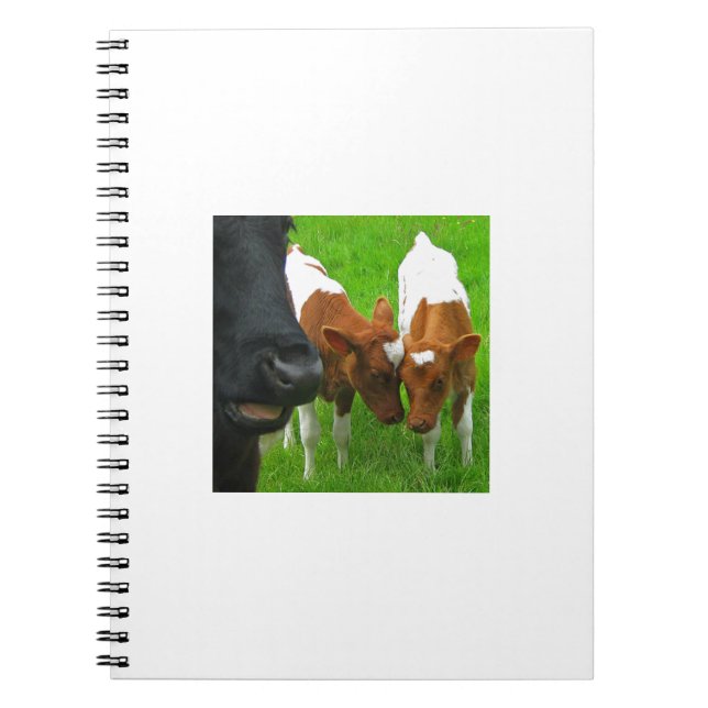 2 Calves Notebook (Front)