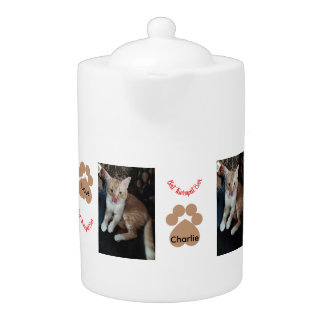  2 cat photos, best therapist,  teapot