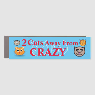 2 Cats Away From Crazy Car Magnet