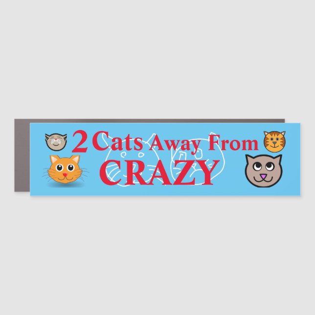 2 Cats Away From Crazy Car Magnet (Front)