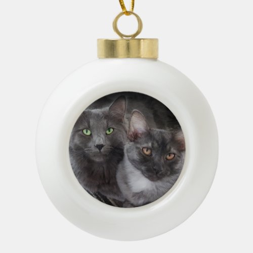 2 cats green eyes orange eyes gray cat black cat   ceramic ball christmas ornament