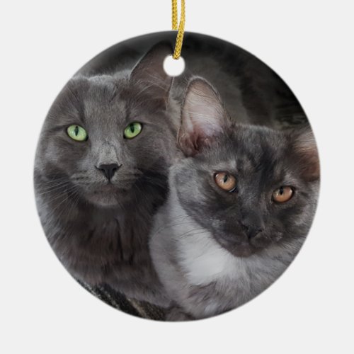 2 cats green eyes orange eyes gray cat black cat   ceramic ornament