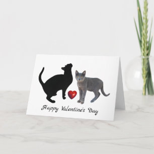 2 Cats with Red Heart Valentine's Day Card