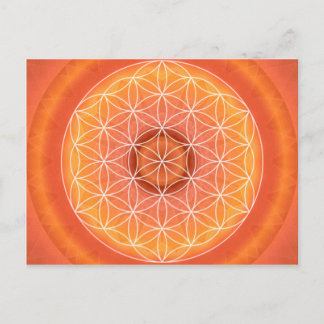 2 Chakra Flower of Life orange Postcard