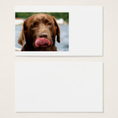 2 Chocolate_Lab.png (Front & Back)
