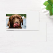 2 Chocolate_Lab.png (Desk)