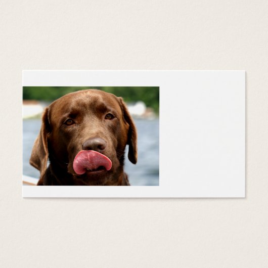 2 Chocolate_Lab.png (Front)