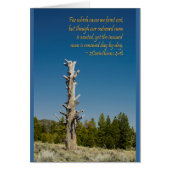 2 Corinthians 4:15 (Front)