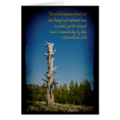 2 Corinthians 4:16 Black Border (Front)