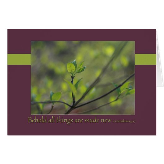 2 Corinthians 5:17 Behold all things are made new (Front Horizontal)