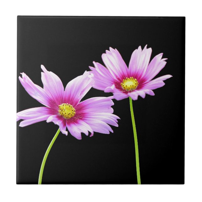2 Cosmos Ceramic Tile (Front)