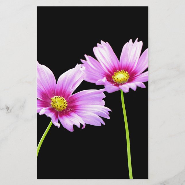 2 Cosmos Stationery (Front)