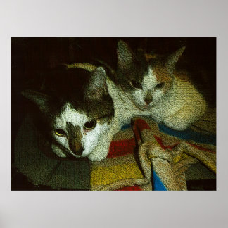 2 Curious Kits Poster