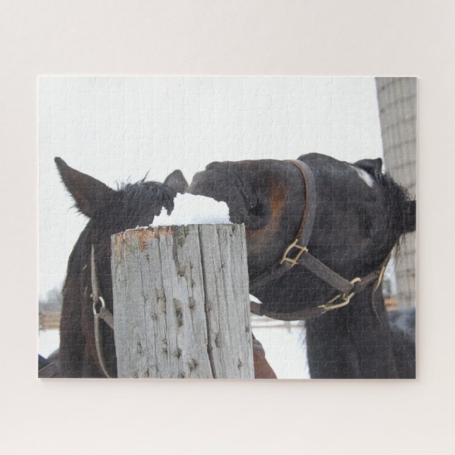 2 Cute Horses Chewing on a Fence Post Jigsaw Puzzle (Horizontal)
