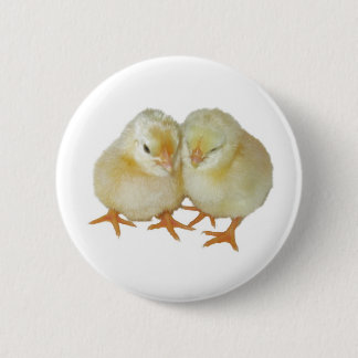 2 Cute Yellow Basque Chicks Pinback Button