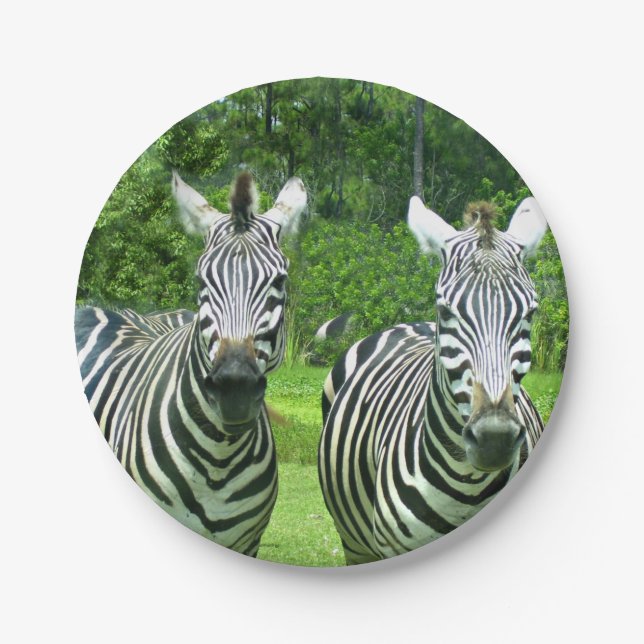 2 Cute Zebras Paper Plates (Front)