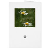 2 daisies cards (Back)