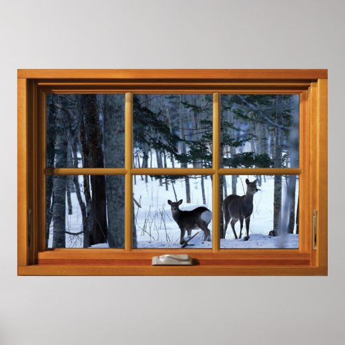 2 Deers in the Winter Snow Window Illusion Poster