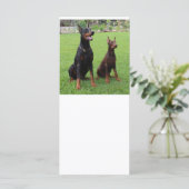 2 dobies (Standing Front)
