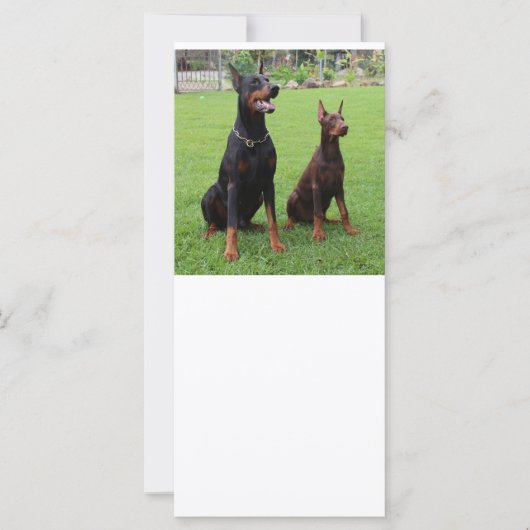2 dobies (Front)