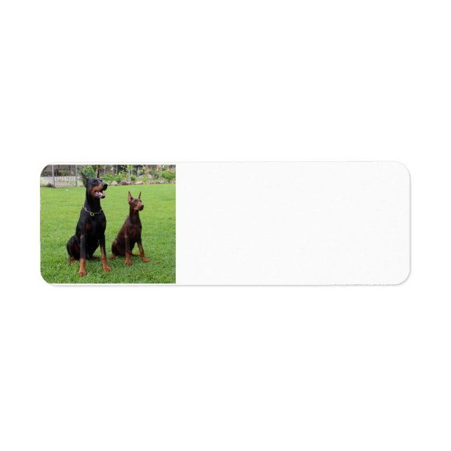2 dobies.png label (Front)