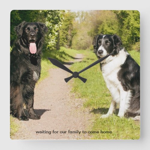 2 Dogs Waiting for their Family to Come Home Square Wall Clock