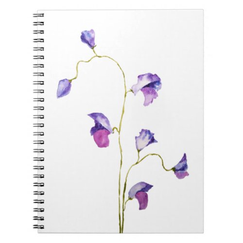 2 elegant purple sweet peas flower watercolor notebook