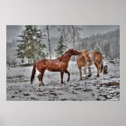 2 Friendly Ranch Horses Dun Palomino Paint Photo Poster