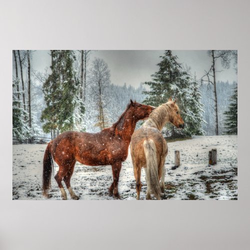 2 Friendly Ranch Horses Dun Palomino Paint Photo Poster