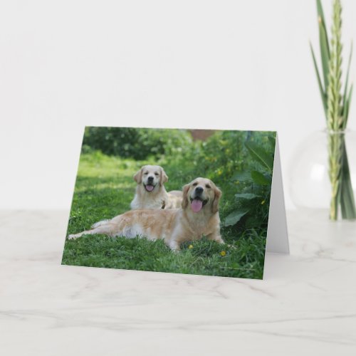 2 Golden Retrievers Laying in Grass Card