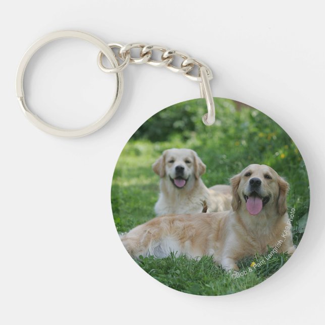 2 Golden Retrievers Laying in Grass Keychain (Front)