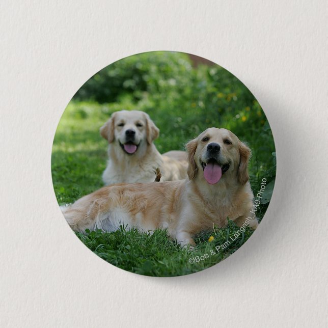 2 Golden Retrievers Laying in Grass Pinback Button (Front)