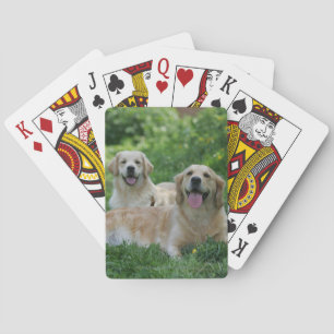 2 Golden Retrievers Laying in Grass Poker Cards
