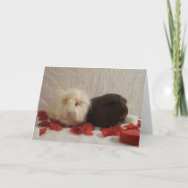 2 Guinea Pig Valentines Holiday Card