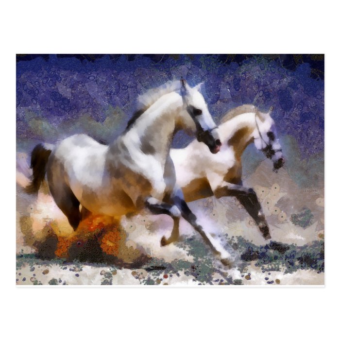 2 horses beach gallop post cards