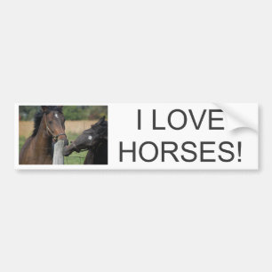 2 Horses Chewing a Fence Post Bumper Sticker