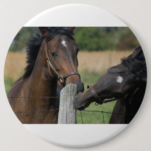 2 Horses Chewing a Fence Post Pinback Button